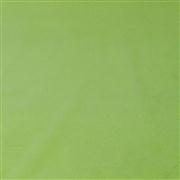 Tissue Reams Light Green
