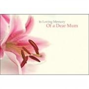 In loving Memory Mum