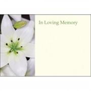 In loving memory White Lily 