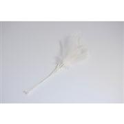 Narrow Feathers  White