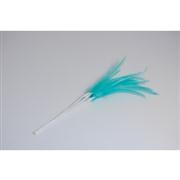 Narrow Feathers Turquoise