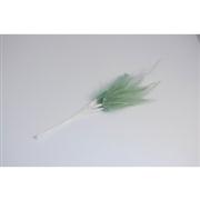 Narrow feathers Sage