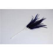 Narrow Feathers  Royal