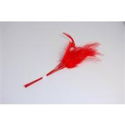 Narrow Feathers  Red