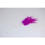 Narrow Feathers  Purple