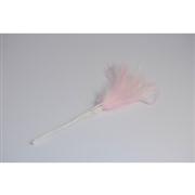 Narrow Feathers  Pale Pink