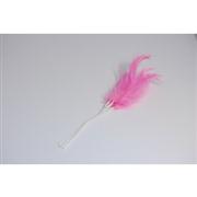 Narrow Feathers  fushia