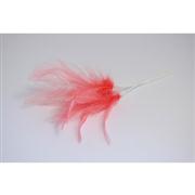 Narrow Feathers  Dark Coral