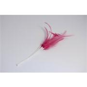 Narrow Feathers  Cerise