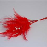 Diamante Feathers Scarlet Red