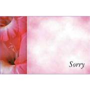 Sorry Card