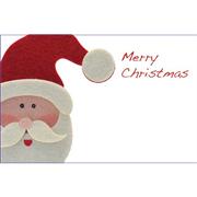 Merry Christmas Card Santa