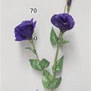 Lisianthus Purple