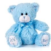 Its a Boy Blue Bear