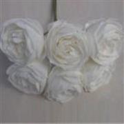 Peony White