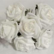 White Foam Rose