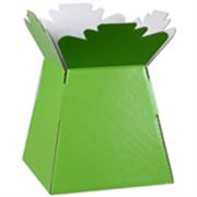 Bouquet Box Glossy lime