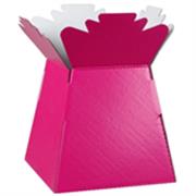 Bouquet Box Glossy Fushia