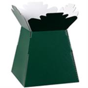 Bouquet Box Glossy DK Green