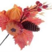 Pumpkin and Physalis Pick