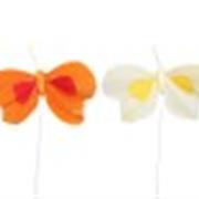 48 butterflies pick Yellow Orange