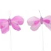 48 Butterfly Pick Lavander