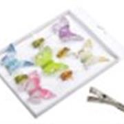 5 butterflies 4 bees card