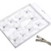 10 feather butterflies card White