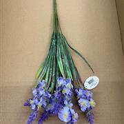 Blossom Spike Bunch lilac