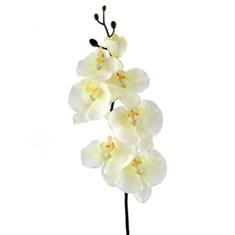 80CM Real Touch Orchid 