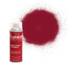 Spray Paint Cranberry
