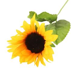 60cm Single Sunflower