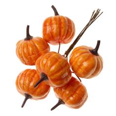 Pumpkin on wire Orange 