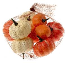 Assorted Pumpkins - Orange &amp; Cream