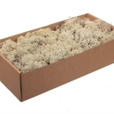 finnland moss Natural box