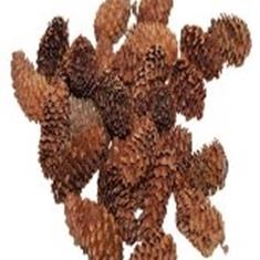 Pinecone Mini Spruce 180g