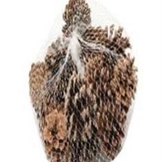 Pinecone 1kg