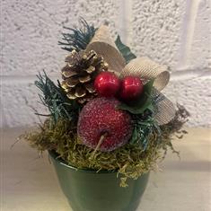 Fruit-Ribbon Picks x12