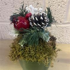 Xmas Picks (Natural White) X12