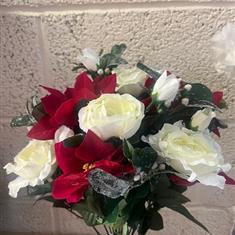 Poinsettia Rose Bush  x18