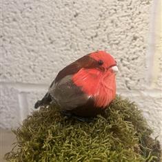 Fat robin natural 6pcs