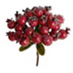 FROSTED BERRY BUNCH RED