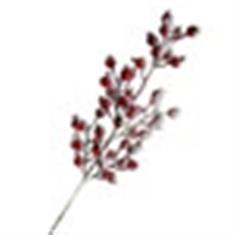 HIP SPRAY WITH SNOW RED